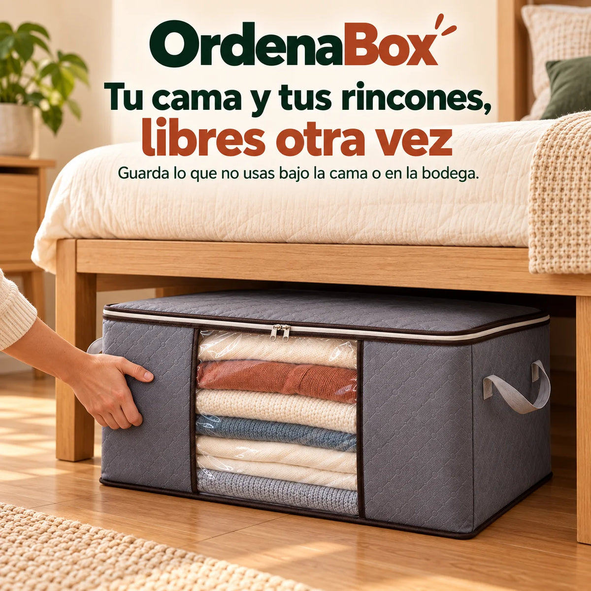 OrdenaBox - Libera espacio en tu clóset